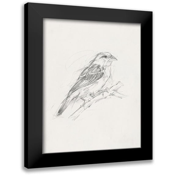 Ethan Harper 20x24 Black Modern Framed Museum Art Print Titled - Avian Study II