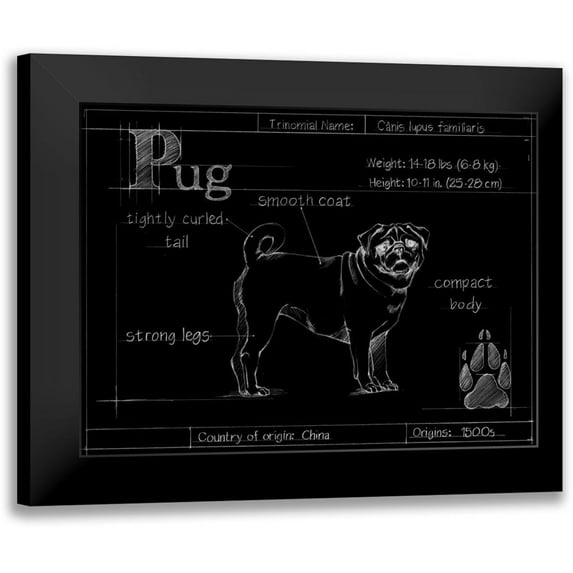 Ethan Harper 24x19 Black Modern Framed Museum Art Print Titled - Blueprint Pug