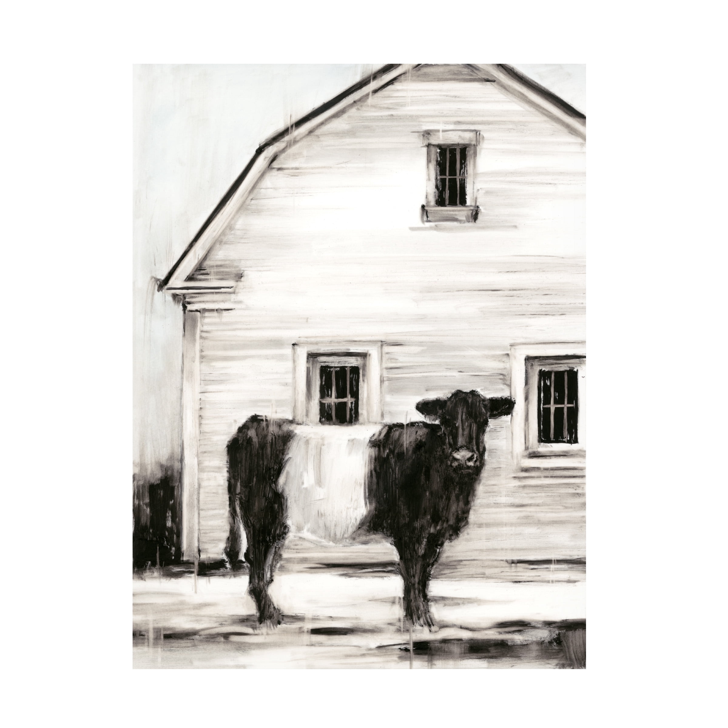 Ethan Harper 'Belted Galloway I' Canvas Art