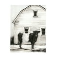 thumbnail image 1 of Trademark Fine Art Ethan Harper Belted Galloway I Canvas Wall Art - 14x19, 1 of 5