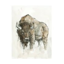 Ethan Harper ' Buffalo II' Canvas Art
