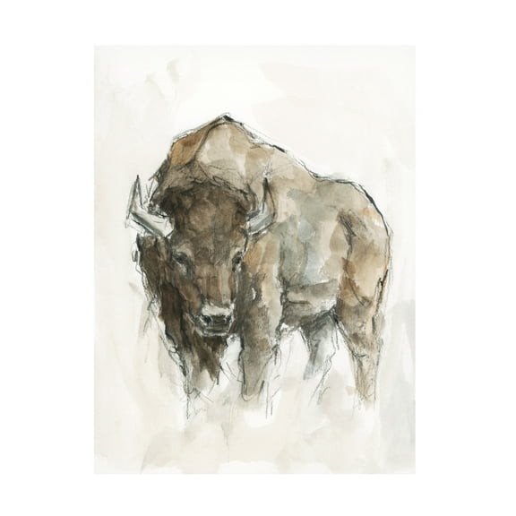 Ethan Harper ' Buffalo II' Canvas Art