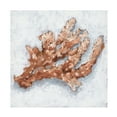 thumbnail image 1 of Ethan Harper 'Coral Display II' Canvas Art, 1 of 3