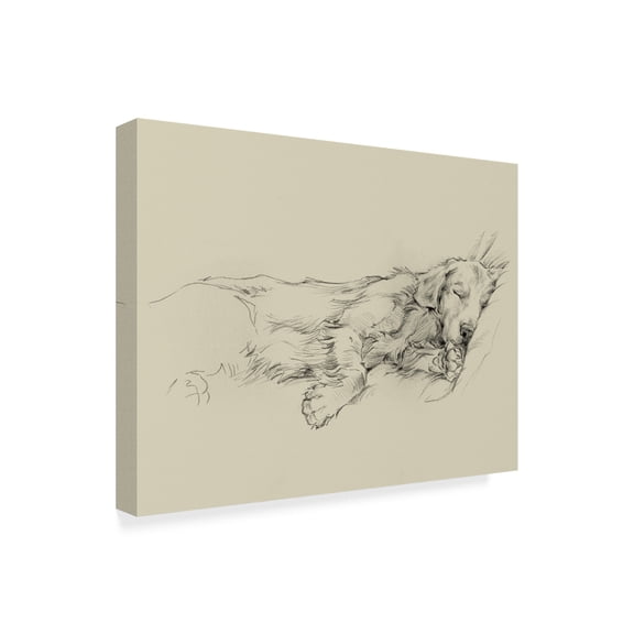 Trademark Fine Art Ethan Harper Dog Days Iii Canvas Wall Art - 35x47