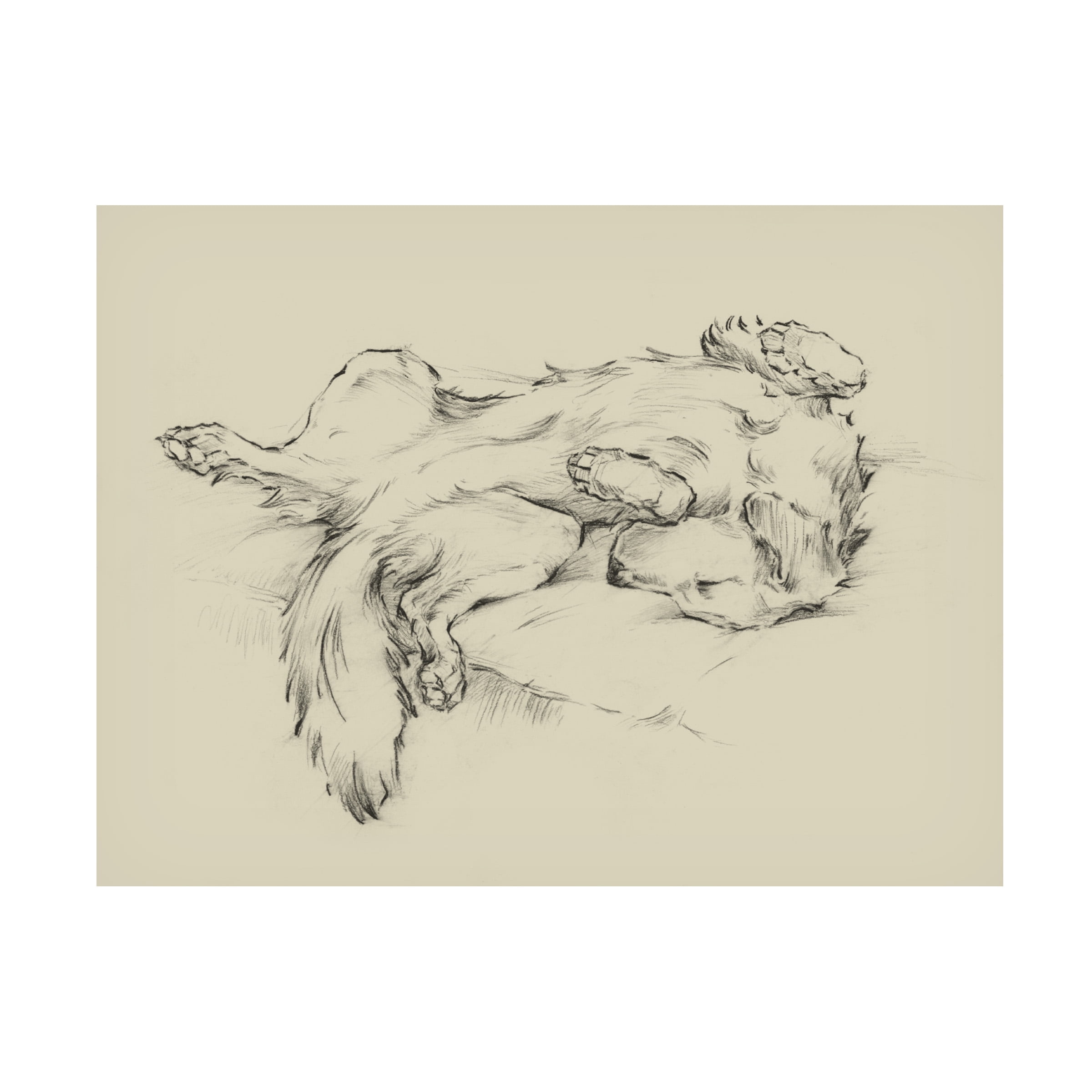 Ethan Harper 'Dog Tired II' Canvas Art