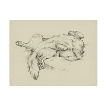 Ethan Harper 'Dog Tired II' Canvas Art