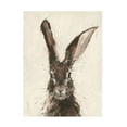thumbnail image 1 of Ethan Harper 'European Hare II' Canvas Art, 1 of 3