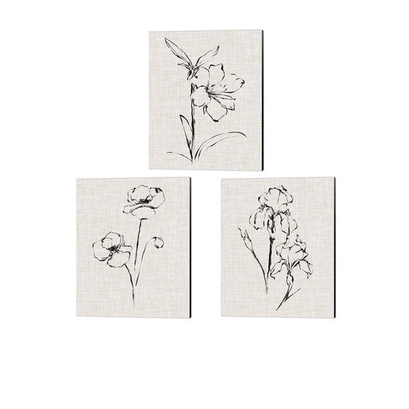 Ethan Harper 'Floral Ink Study' Canvas Art (Set of 3)