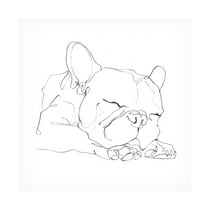 Trademark Fine Art Ethan Harper French Bulldog Contour II Canvas Wall Art - 35x35