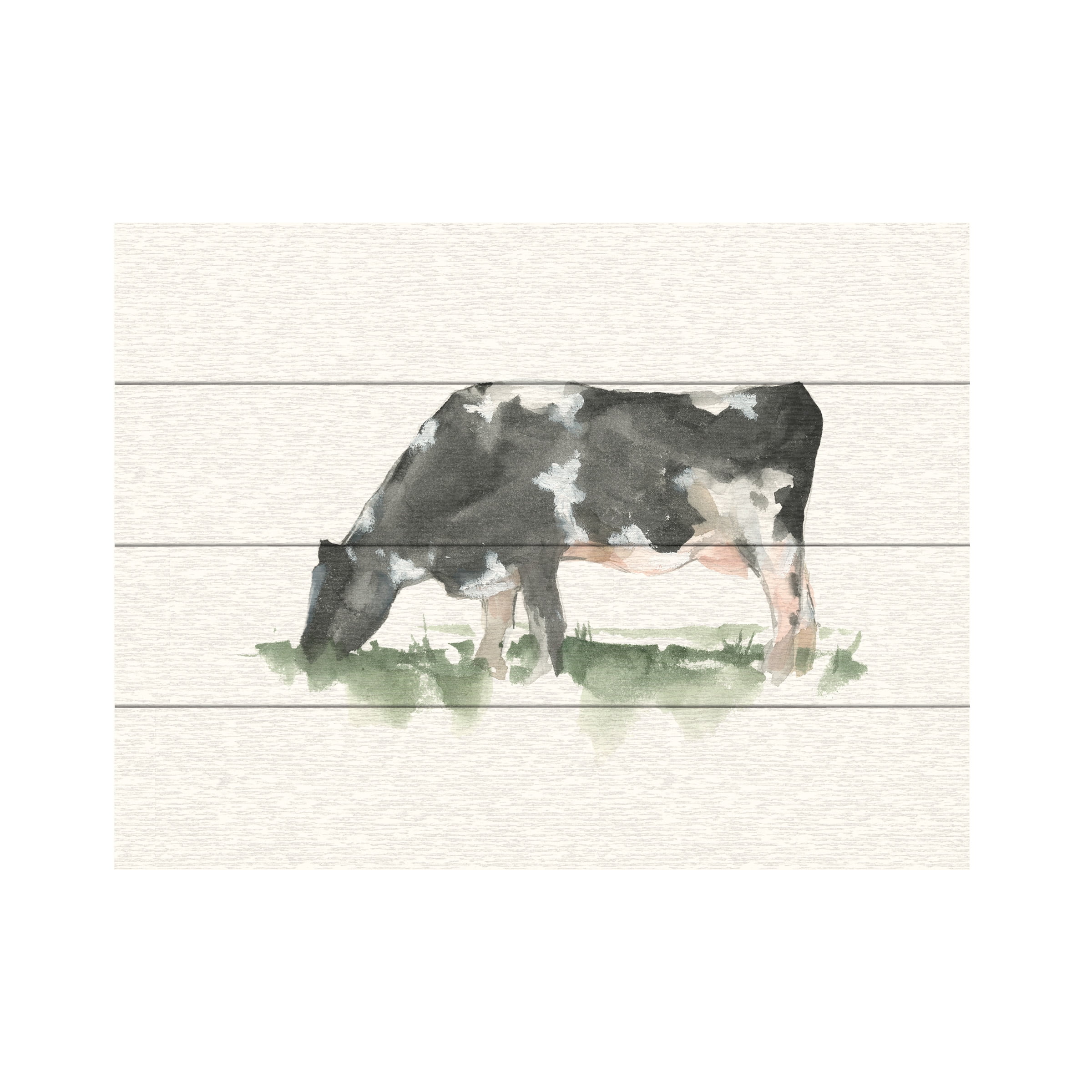 Ethan Harper Grazing Cow on Canvas 12x16 Wall Art