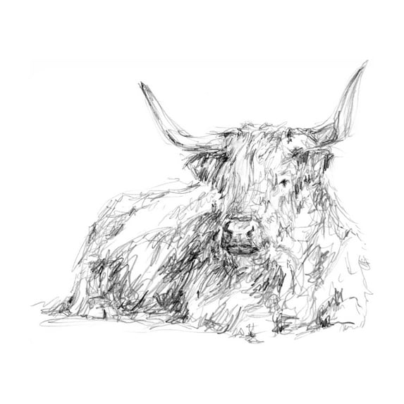 Ethan Harper 'Highland Cattle Sketch I' Canvas Art