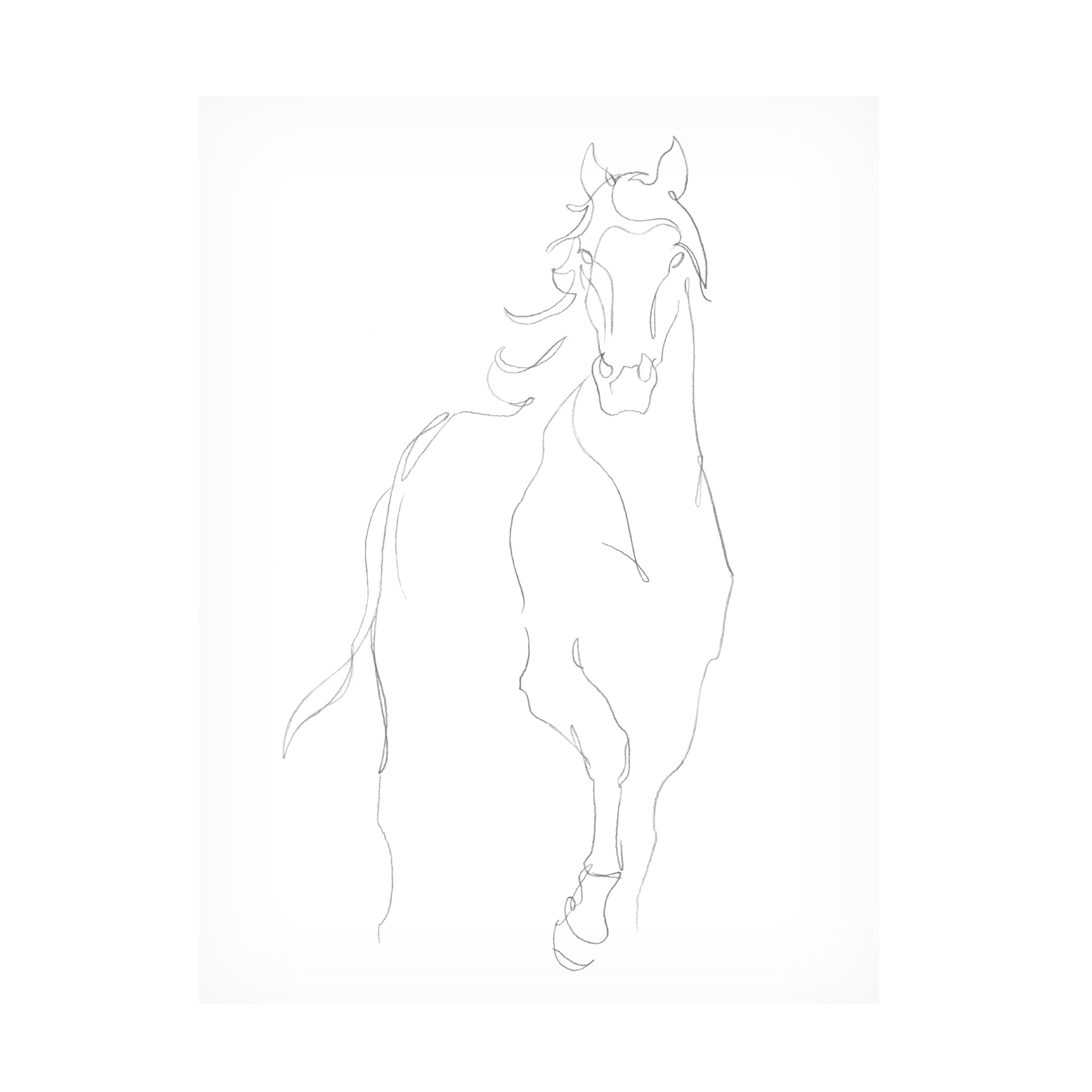 Ethan Harper 'Horse Contour I' Canvas Art