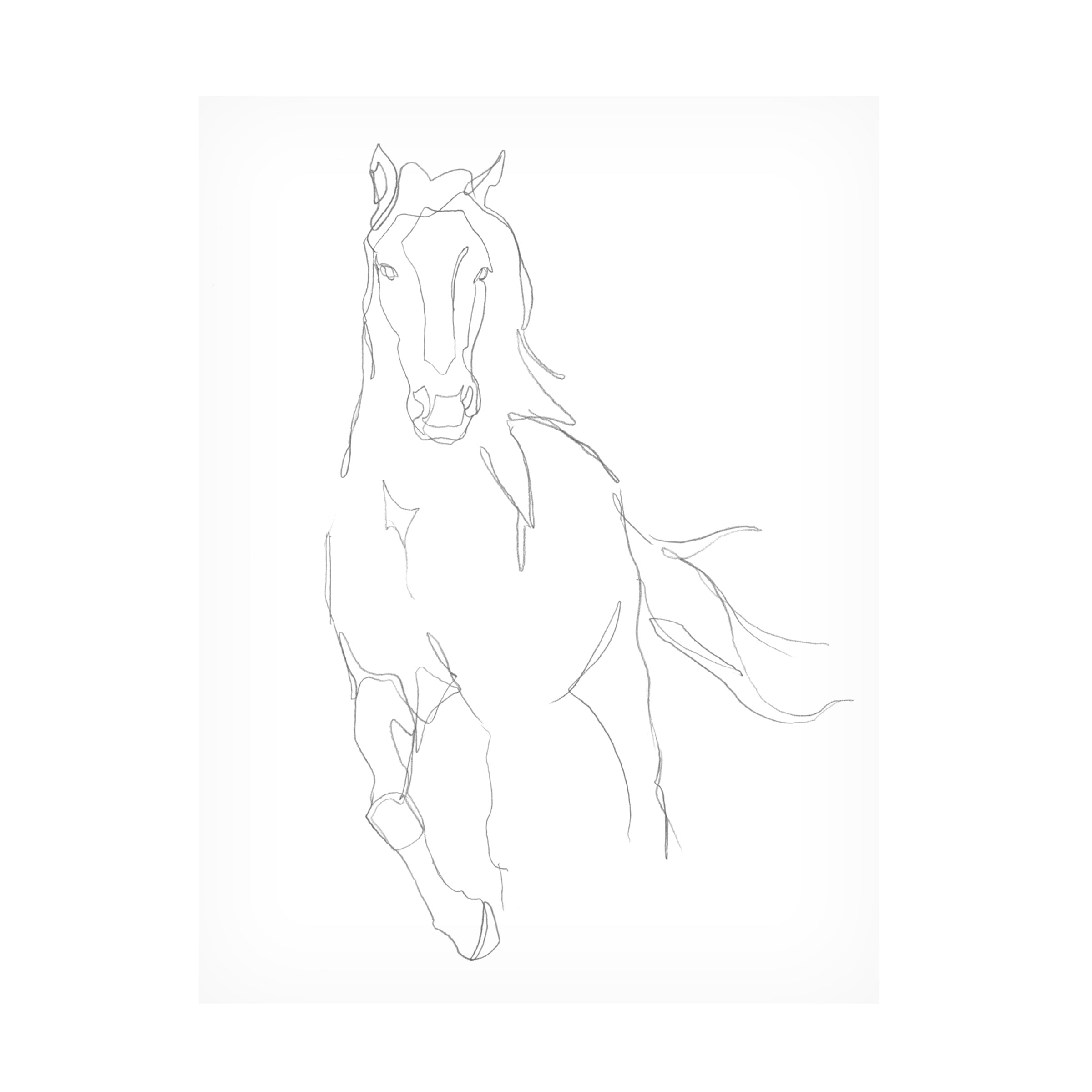 Ethan Harper 'Horse Contour II' Canvas Art