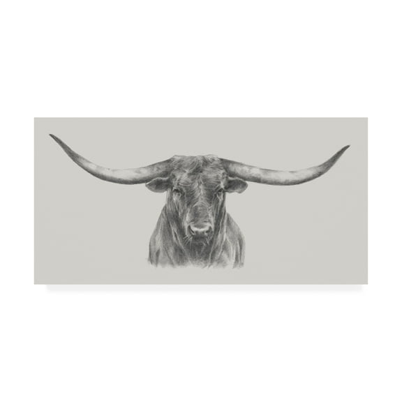 Ethan Harper 'Longhorn Bull' Canvas Art