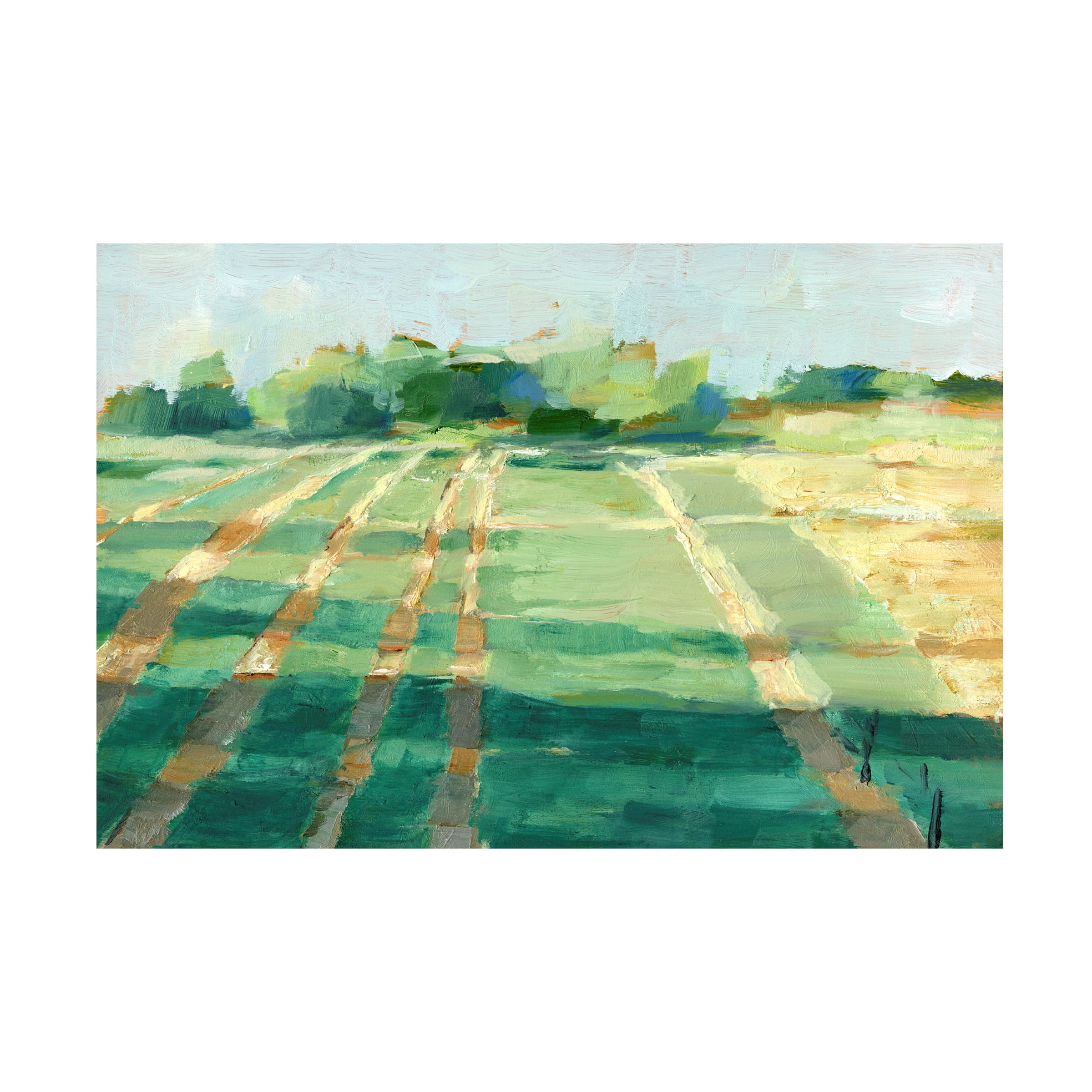 Ethan Harper 'Mid Summer Shadows I' Canvas Art