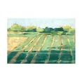thumbnail image 1 of Ethan Harper 'Mid Summer Shadows II' Canvas Art, 1 of 3