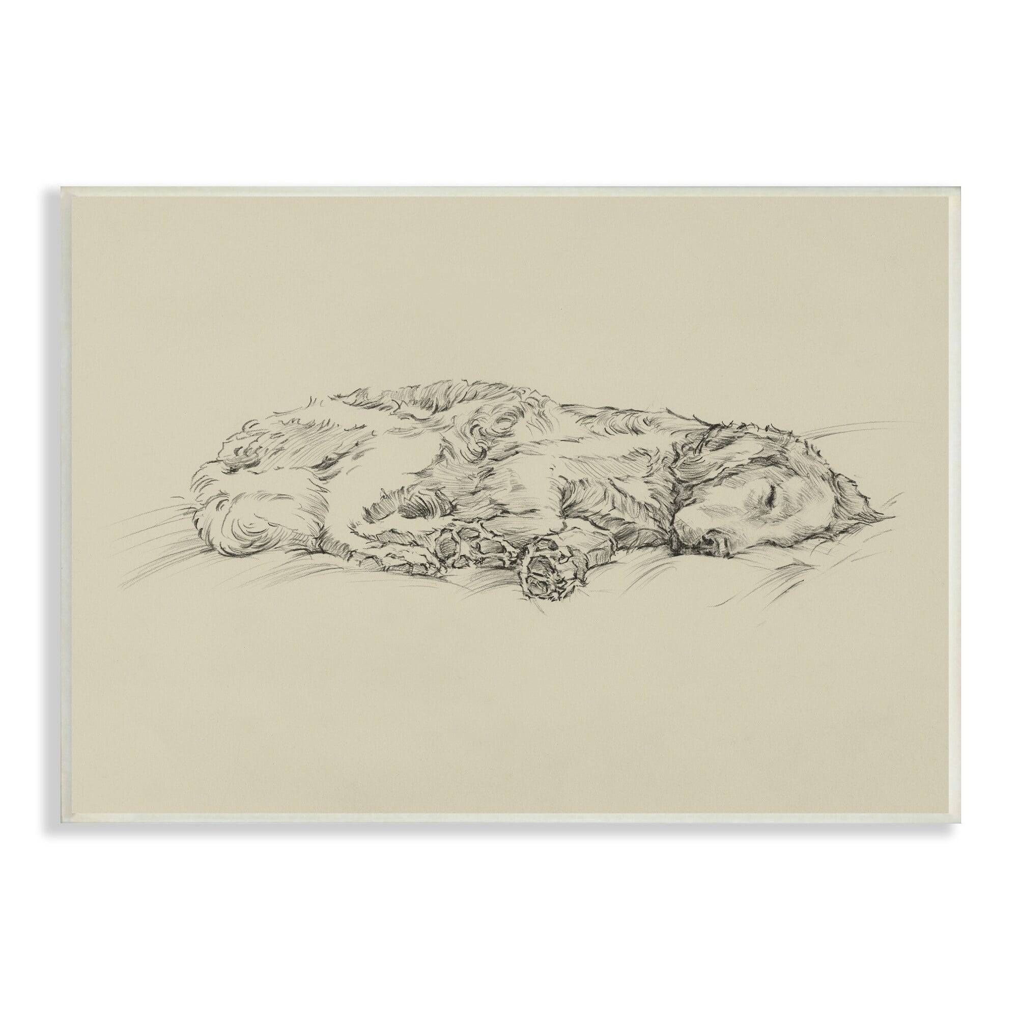 Stupell Industries Serene Dog Sleep Soft Cushion Monochrome Sketch Portrait,15 x 10, Design by Ethan Harper