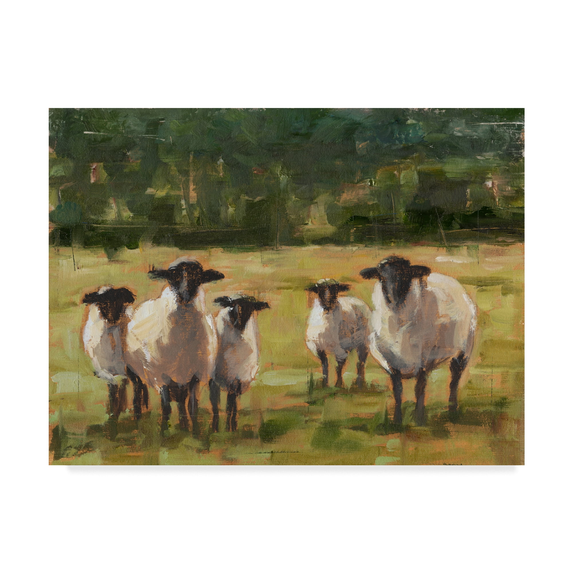 Ethan Harper 'Sheep Family I' Canvas Art