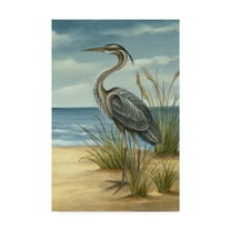 Ethan Harper 'Shore Bird Ii' Canvas Art