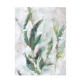 thumbnail image 1 of Ethan Harper 'Tropical Foliage Study II' Canvas Art, 1 of 4