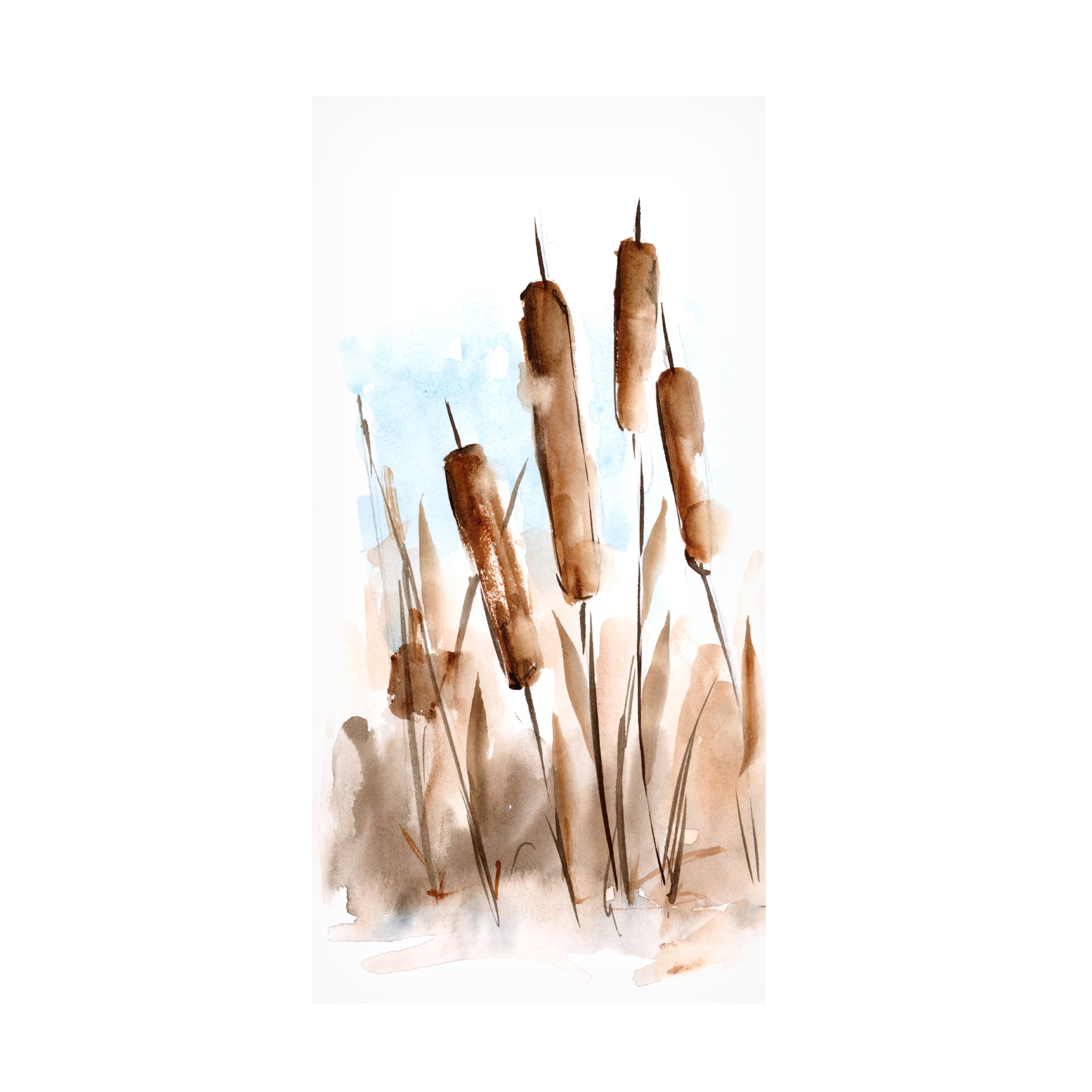 Ethan Harper 'Watercolor Cattail Study II' Canvas Art