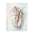 thumbnail image 1 of Ethan Harper 'White Shell Study II' Canvas Art, 1 of 3