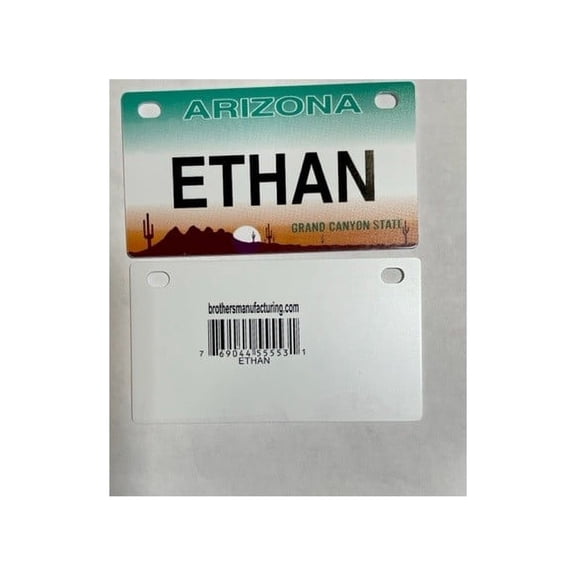 Ethan Mini Bike Plate Add On Accessory