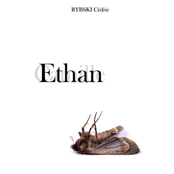 Ethan, (Paperback)