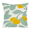 thumbnail image 1 of Ethan Taylor Food and Kitchen Throw Pillow Soft Cushion Cover 'Lemon Tree Fruits Lemon' Modern Pattern Decorative Square Accent Pillow Case, 16x16 Inches, Green, Yellow, 1 of 5