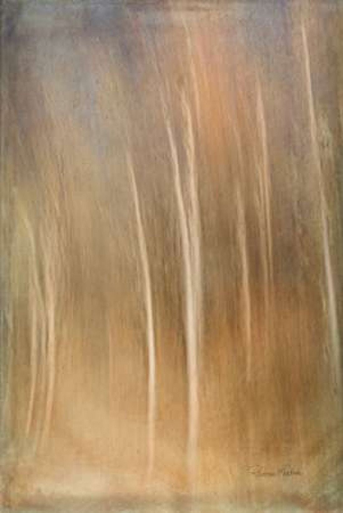 Ethereal Forest Canvas Art - Ramona Murdock (12 x 18)