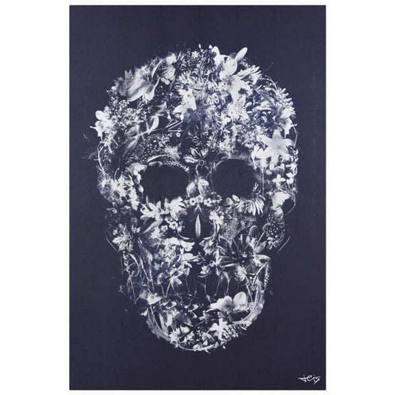 "Ethereal Skull", Skull-themed Artwork Rendered on Silver Shagreen Wrapped Canvas Wall Art, sized 60"x40"