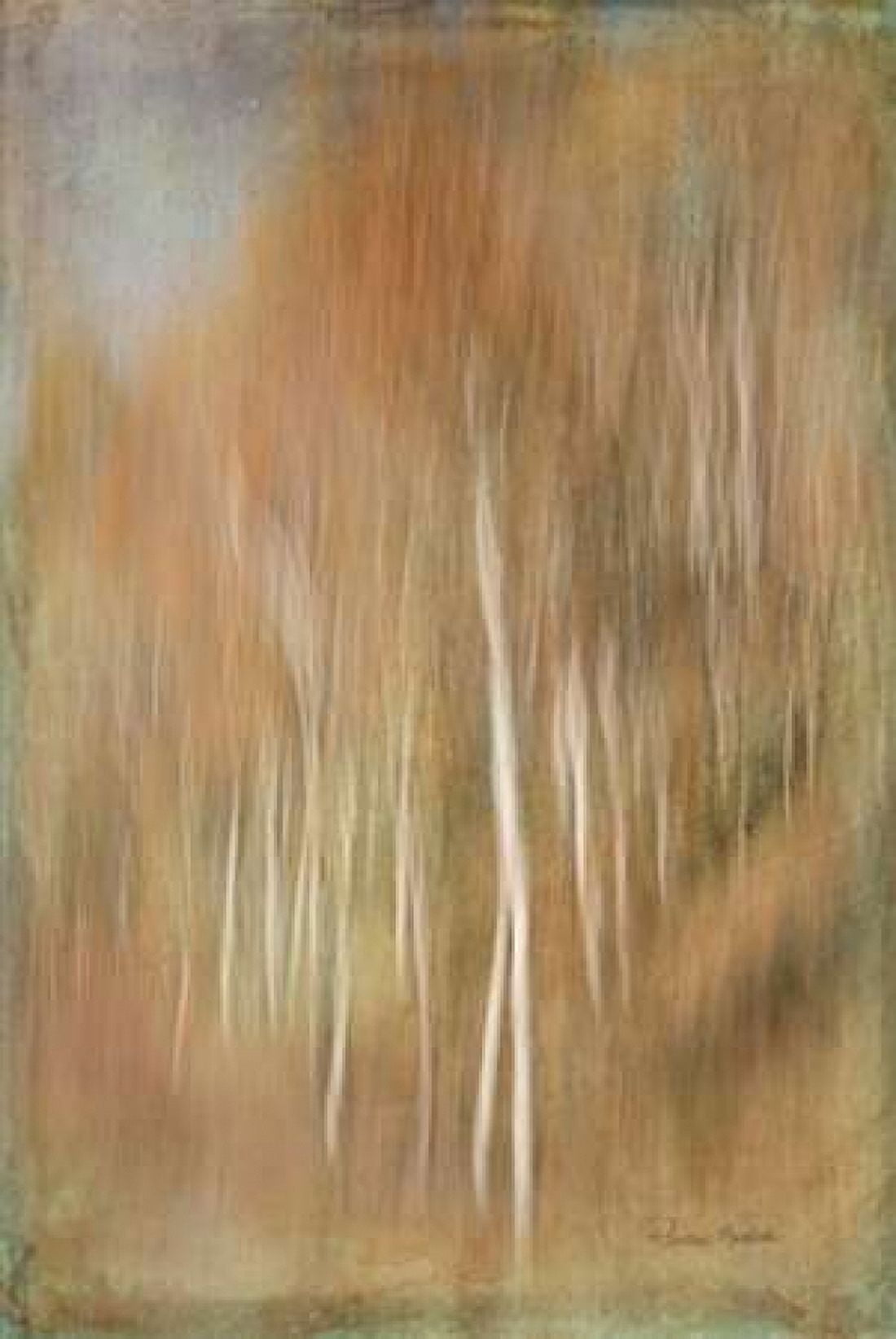 Ethereal Trees Canvas Art - Ramona Murdock (12 x 18)