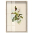 thumbnail image 1 of Ethereal Visitors Shadowbox Print Botanical Art by Art Remedy, Blonde Frame, 24 x 36, 1 of 6