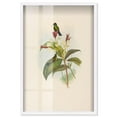 thumbnail image 1 of Ethereal Visitors Shadowbox Print Botanical Art by Art Remedy, White Frame, 30 x 45, 1 of 6