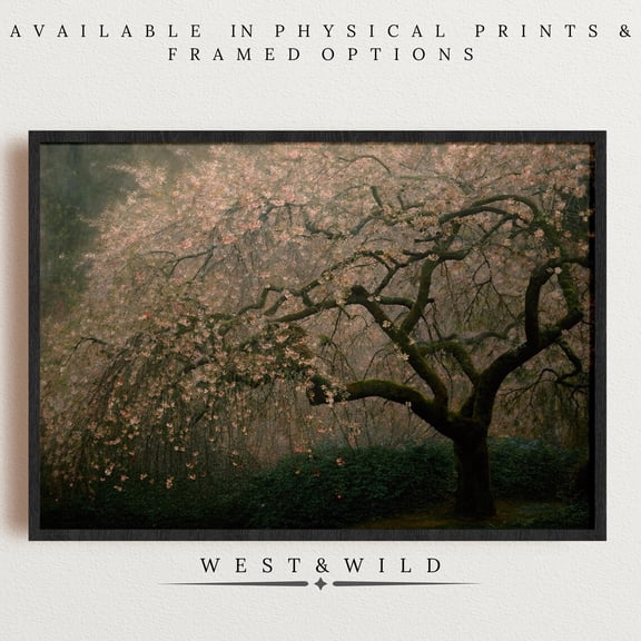 Ethereal Weeping Cherry Blossom Tree Art Serene Nature Wall Decor For Spring Vibes, Unframed Paper Print