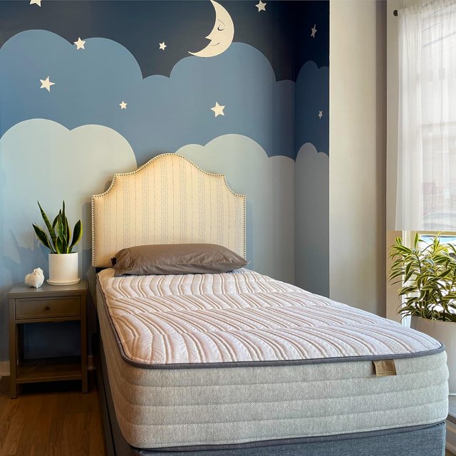 Ethical Mattress CO 10" ToxinFree Hybrid Mattress, Made in USA with