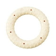 thumbnail image 1 of Ethical Pets Alert Nylon Ring Dog Toy, 5, Red, 1 of 2
