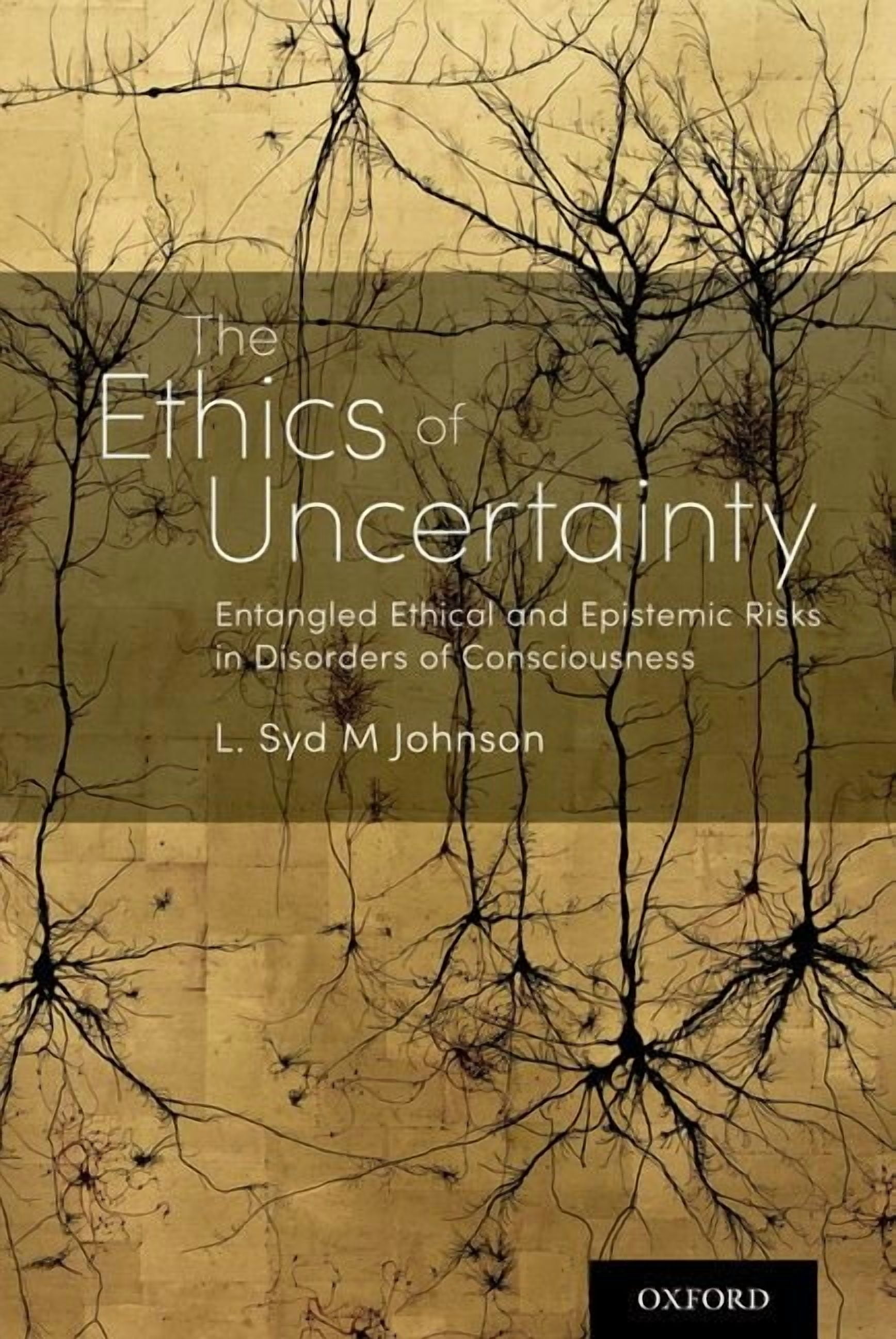Ethics of Uncertainty: Entangled Ethical and Epistemic Risks in Disorders of Consciousness, (Hardcover)