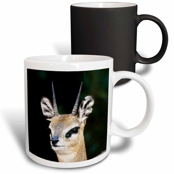 3drose, Ethiopia, Klipspringer Looking Away, 11oz Magic Transforming Mug