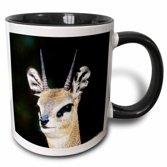 3drose, Ethiopia, Klipspringer Looking Away, 11oz Two-tone Black Mug