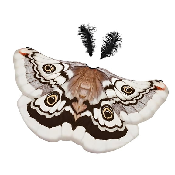 Etracrec Halloween Theme Shawl Ideal For Role Playing Fashion Polyester Moth Clothes