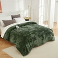 thumbnail image 1 of EuKer Electric Blanket King Size Dual Control, Washable Heated Blanket with 4 Heat Levels & 10H Auto Off, 90" x 100", Green, 1 of 8