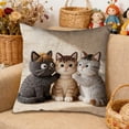 thumbnail image 1 of Euaioeiu Cute Animal Pillow Cover Fluffy Embroidery Decorative Throw Pillow Case Soft Accent Cushion Cover for Living Room Sofa Bedroom Decor Festival Home Decor, 1 of 6