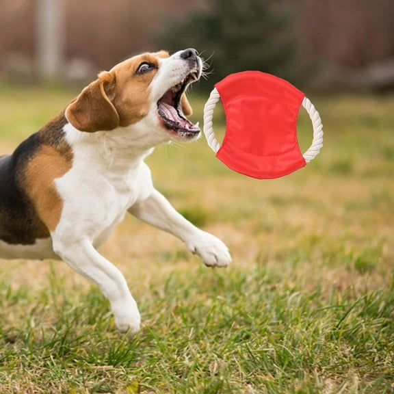 Euaioeiu Dog Training Toys Outdoor Pet Flying Disc Interactive Chew Toy with Rope for Teething Puppies and Adult Dogs Play Fetch in Park or Backyard