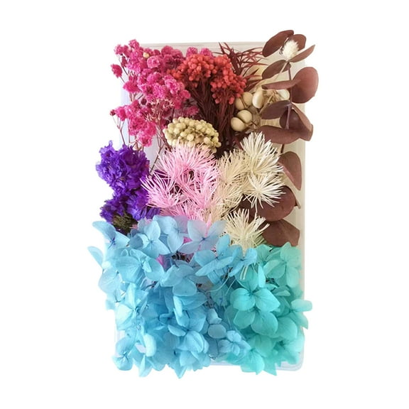 Euaioeiu Dried Flowers Kit for DIY Crafts, Pressed Flower Materials, Natural Botanical Supplies, Home Decor, Wedding, Valentine's Day Gift Making