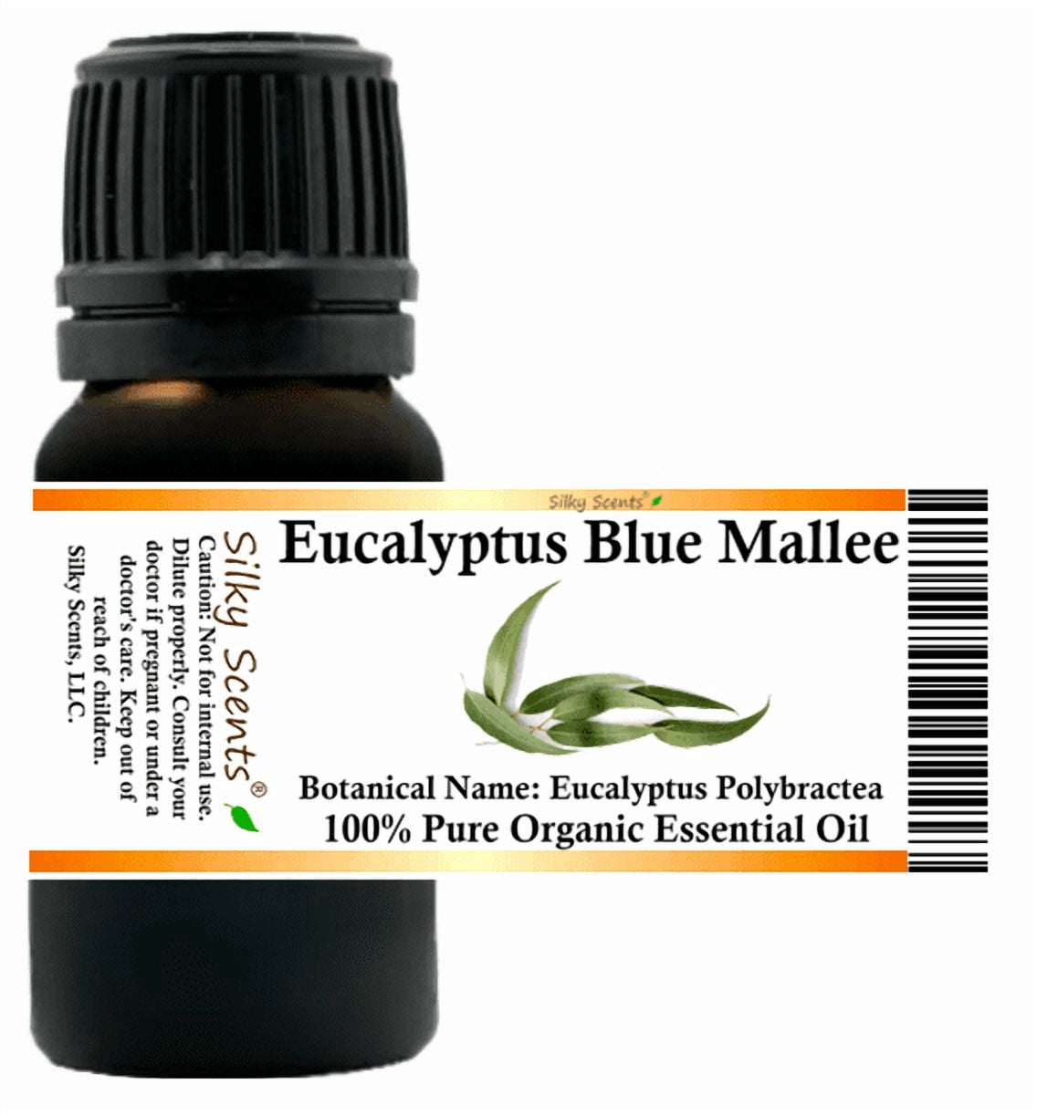 Eucalyptus Blue Mallee Organic Essential Oil 1 fl oz (30 ml) - 100% Pure and Natural by Silky Scents