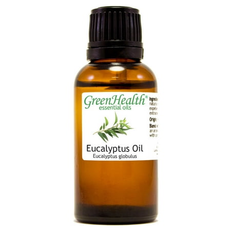 Eucalyptus Essential Oil - 1 fl oz (30 ml) Glass Bottle w/ Euro Dropper - 100% Pure Essential Oil by GreenHealth