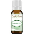 thumbnail image 1 of Eucalyptus Essential Oil 10 ml. 100% Pure Natural Undiluted Therapeutic Grade for Aromatherapy Diffuser, Sinus Relief, Allergies, Cough, Nasal and Chest Congestion, 1 of 5