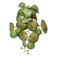 thumbnail image 1 of Eucalyptus Fake Pothos Hanging Plants - Artificial Hanging Plant Realistic Faux Pothos Vines for Indoor Décor, Lush Greenery for Home Wall Table Balcony Patio Office, Bathroom -1Pc(Green,17.7x4"), 1 of 9