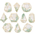 thumbnail image 1 of Eucalyptus Geometric Terrariums Accents, Pack of 30 | Bundle of 5 Packs, 1 of 1
